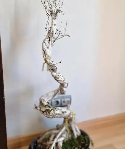 Mirador De Colon - 3 Hab, Wifi, 6 Pax - Vut-4275-as 아파트 기욘